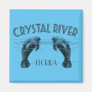 Search for crystal magnets Florida