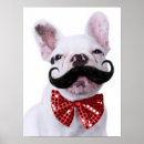 Search for moustache posters Bulldog