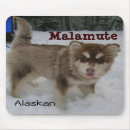 Search for alaskan malamute mousepads Snow
