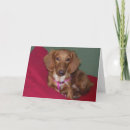 Search for dachshund get well cards Animal