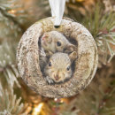 Search for long island christmas tree decorations Animals in the wild