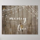 Search for money tree Rustic