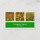 Search for greens photocards Modern