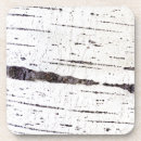 Search for birch coasters Forest