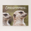 Search for meerkat puzzles Animal