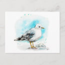 Search for seagull painting postcards Watercolor
