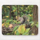 Search for squirrel in a tree mousepads Forest