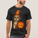 Search for shih tzu halloween tshirts Pumpkin