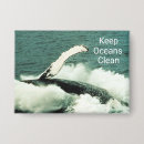 Search for marine creature badges Sea
