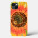 Search for communication cases Usa
