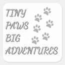 Search for adventures stickers Cute