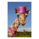 Search for tall giraffe posters Africa