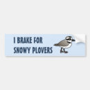 Search for i brake for birds bumper stickers Cute