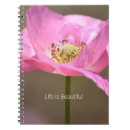 Search for poppy flower Pretty