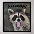 Search for funny raccoon posters Wildlife