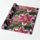 Search for lily wrapping paper Botanical