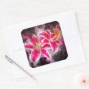 Search for red lily stickers Pink