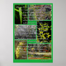Search for religeous posters Bible