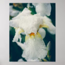 Search for irie posters Floral
