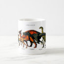 Search for gobi mugs Desert