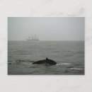 Search for whales postcards Seascape