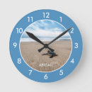 Search for turtle clocks Sand