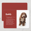 Search for gray cat invitations Modern
