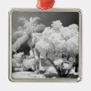 Search for palm trees christmas tree decorations Black