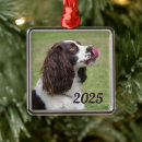 Search for liver christmas tree decorations English springer spaniel