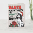 Search for funny springer spaniel Merry christmas