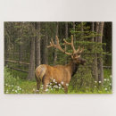 Search for elk puzzles Deer