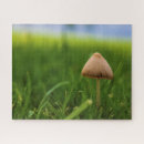 Search for very difficult puzzles Green