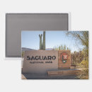 Search for saguaro magnets Tucson arizona