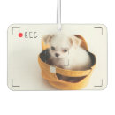 Search for funny dog car accessories Humour