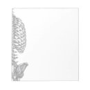 Search for medical notepads Illustration
