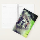 Search for farm animal planners Llamas