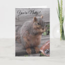 Search for funny squirrel pictures cards Nature