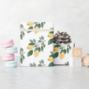 Search for citrus wrapping paper Main squeeze