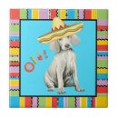 Search for fiesta tiles Cinco de mayo