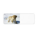 Search for saint return address labels Cute