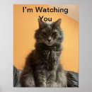Search for pet photography posters Animals
