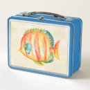 Search for fish lunch boxes Aquarium