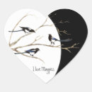 Search for magpie stickers Animal