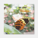 Search for orange and black magnets Insect