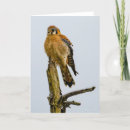 Search for pacific northwest cards Wildlife