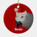 Search for african grey parrot christmas tree decorations Parrots