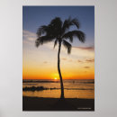 Search for tree silhouette landscape art Tropical