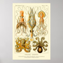 Search for ernst haeckel posters Sea