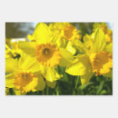 Search for daffodil wrapping paper Birthday