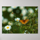 Search for fritillary posters Insect
